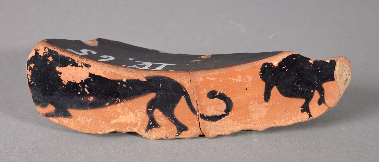 Randscherbe eines Gefäßes