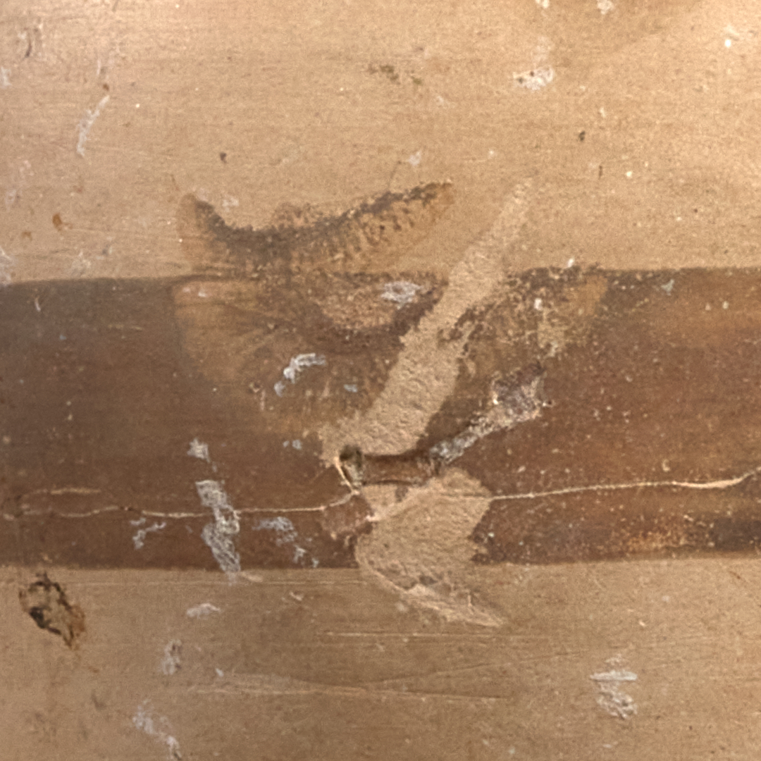 Foto eines Fingerabdrucks auf einer Scherbe