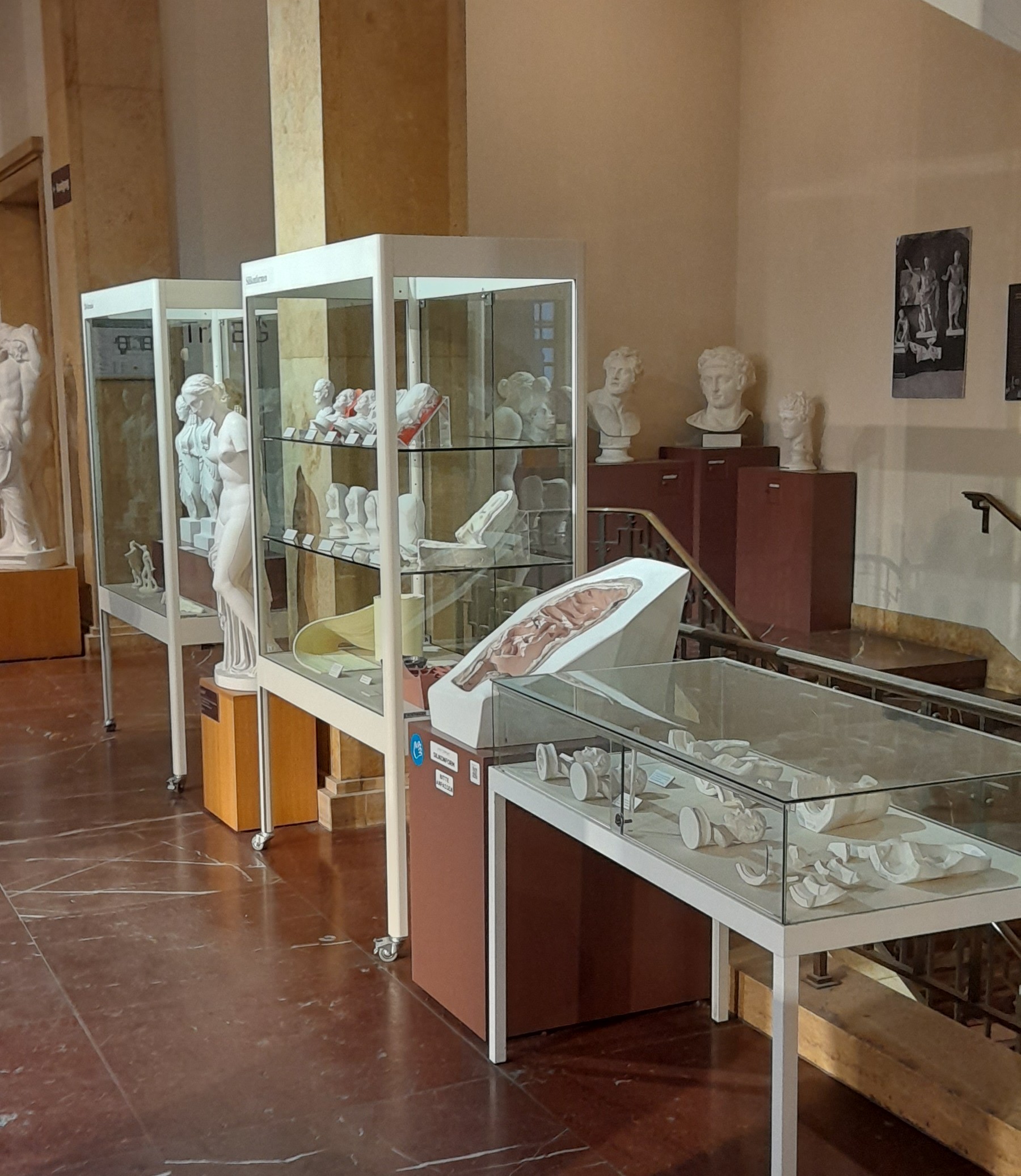 Eine Reihe von Vitrinen mit Ausstellungstücken zum Thema Abguss